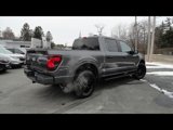 New 2025 Ford F150 STX w/ STX Black Appearance Package image 5