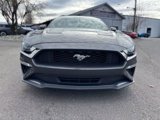 Used 2019 Ford Mustang Premium w/ Ecoboost Performance Package image 2