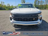 Used 2024 Chevrolet Silverado 1500 W/T w/ WT Fleet Convenience Package image 2