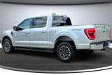 Used 2023 Ford F150 XLT w/ Equipment Group 302A High image 4