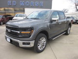 New 2025 Ford F150 XLT w/ Equipment Group 303A High image 3