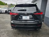 Used 2021 Lexus NX 300 AWD w/ Luxury Package image 5