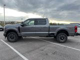 New 2025 Ford F250 Platinum image 4