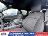 New 2025 Ford F150 XLT w/ Equipment Group 302A MID image 2