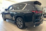 New 2025 Lexus LX 600 4WD w/ Premium Package image 4