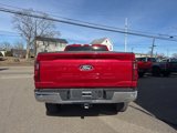 New 2025 Ford F150 XLT w/ Equipment Group 302A MID image 5