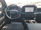 New 2025 Ford F150 STX image 3