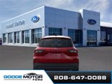 New 2025 Ford Escape ST-Line Elite w/ Tech Pack #1 image 5