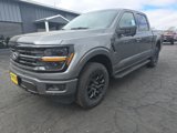New 2025 Ford F150 XLT image 3