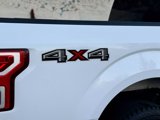 Used 2019 Ford F150 XLT w/ Equipment Group 302A Luxury image 4