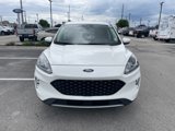 Certified 2022 Ford Escape SEL image 3