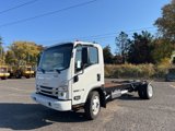 New 2025 Chevrolet Low Cab Forward image 2