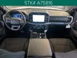 New 2025 Ford F150 XLT image 3