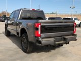New 2025 Ford F250 Platinum image 2
