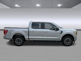 Used 2023 Ford F150 XLT w/ Equipment Group 302A High image 2