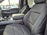 New 2025 Ford F150 XLT w/ Equipment Group 301A Standard image 4