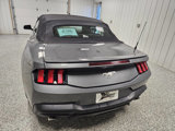 Used 2024 Ford Mustang Convertible image 3