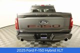 New 2025 Ford F150 XLT w/ Equipment Group 303A High image 4