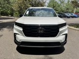 New 2025 Honda Pilot Black Edition image 2