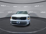 New 2025 Kia Telluride SX image 5