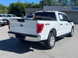 Certified 2023 Ford F150 XLT w/ Equipment Group 301A Mid image 3