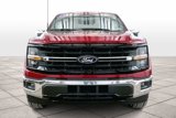 New 2025 Ford F150 XLT w/ Equipment Group 302A MID image 3