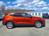 Used 2020 Ford Escape SE image 2