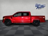 New 2025 Ford F150 XLT w/ Equipment Group 302A MID image 4