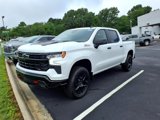 New 2025 Chevrolet Silverado 1500 LT Trail Boss w/ Protection Package image 3