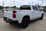 Used 2019 Chevrolet Silverado 1500 LT Trail Boss w/ Bed Protection Package image 5