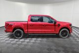New 2025 Ford F150 XLT w/ Equipment Group 303A High image 2