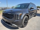 New 2026 Kia Carnival SX Prestige image 3
