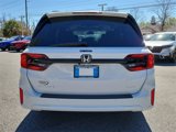 New 2025 Honda Odyssey Elite image 5
