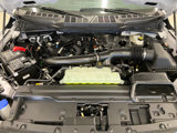 New 2025 Ford F150 XLT w/ Equipment Group 302A MID image 3