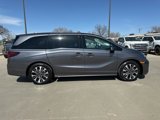 New 2025 Honda Odyssey Elite image 2