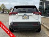 Certified 2024 Toyota RAV4 LE image 4