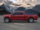 New 2025 Ford F150 XLT w/ Equipment Group 302A MID image 3