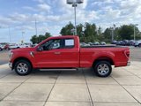 Used 2023 Ford F150 XLT w/ Equipment Group 302A High image 6