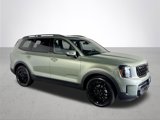 New 2025 Kia Telluride SX Prestige X-Line image 5