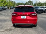Used 2024 Ford Escape ST-Line w/ Cold Weather Package image 5