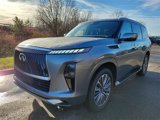 New 2025 INFINITI QX80 Sensory image 2