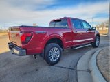 Used 2024 Ford F150 XLT w/ Equipment Group 302A MID image 3