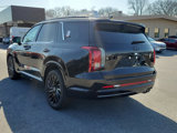 New 2025 Hyundai Palisade Calligraphy image 4