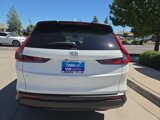 New 2026 Honda CR-V EX-L image 5