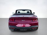 New 2025 Ford Mustang GT Premium image 4