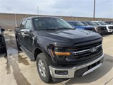 New 2025 Ford F150 XLT w/ Equipment Group 302A MID image 3