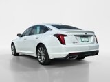 Used 2024 Cadillac CT5 Premium Luxury w/ Climate Package image 3