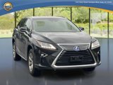 Used 2019 Lexus RX 450hL Premium w/ Cold Area Package image 3