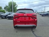 Certified 2025 MAZDA CX-5 Signature image 4
