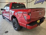 New 2025 Ford F150 XLT w/ Equipment Group 302A MID image 3